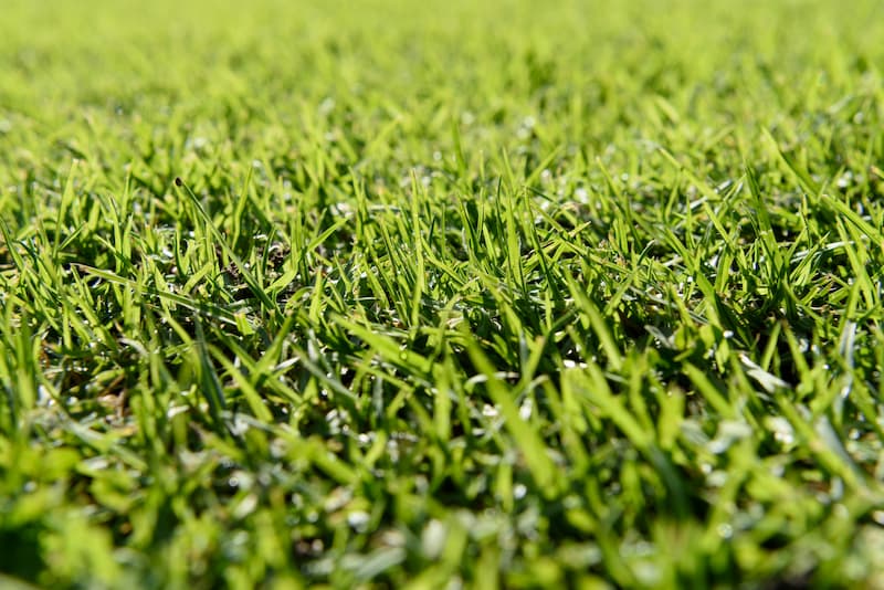 Grama sintética Curitiba para jardim